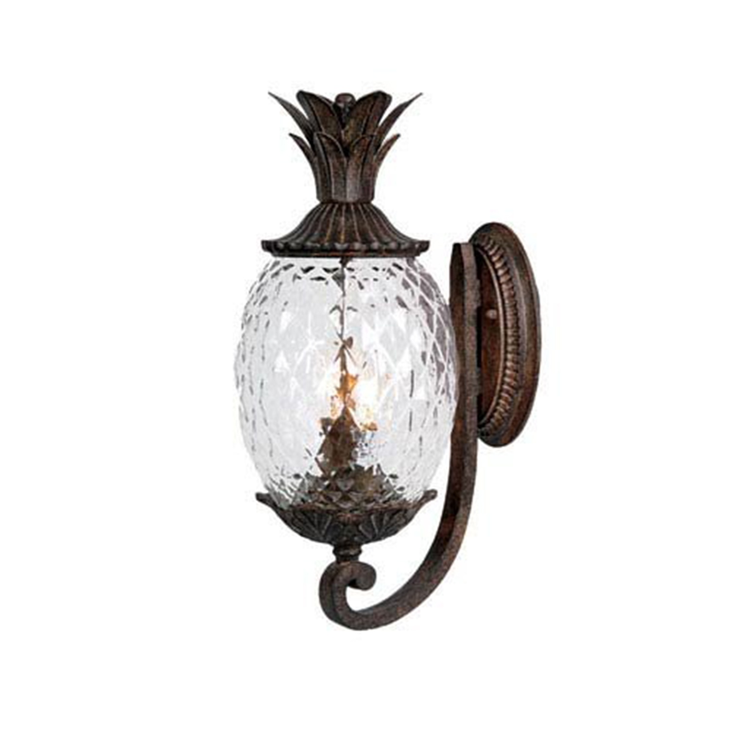  Acclaim 7501BC Lanai Collection 2-Light Wall Mount Outdoor Light Fixture, Black Coral